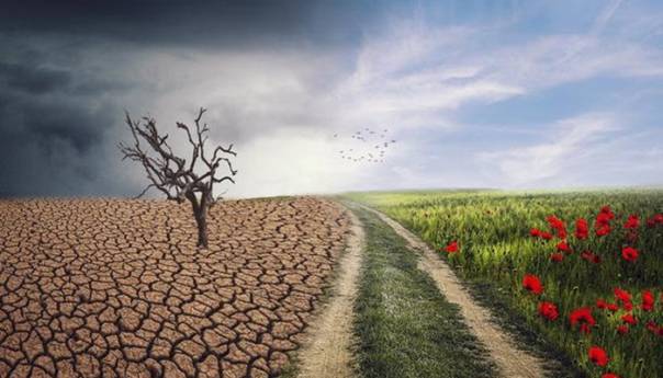 Ekološki aktivizam u doba klimatskih promjena i prirodnih katastrofa